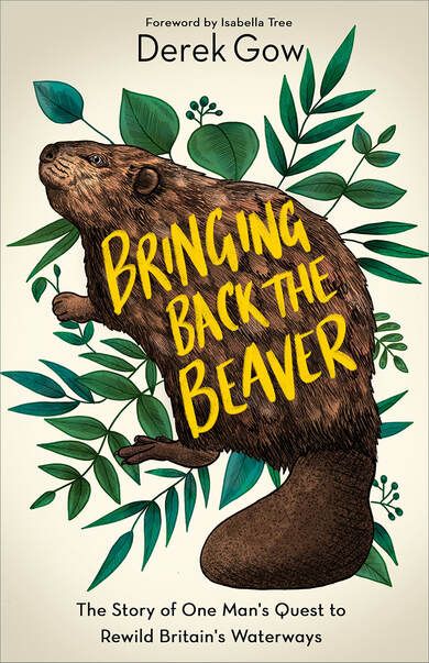 Book cover of Bringing back the beaver by Derek Gow