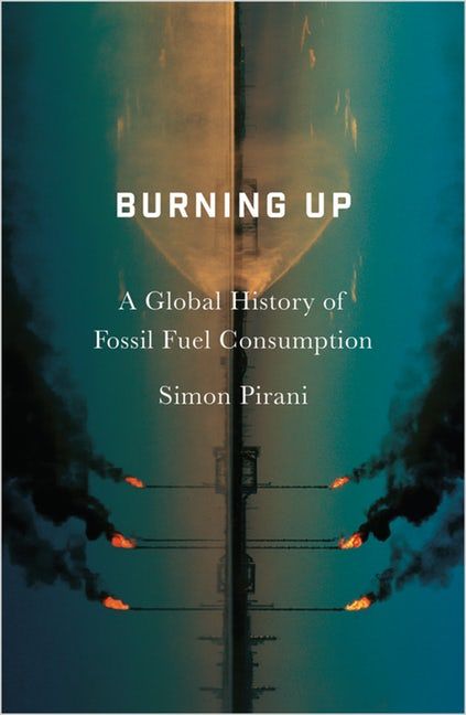 book cover of burning up