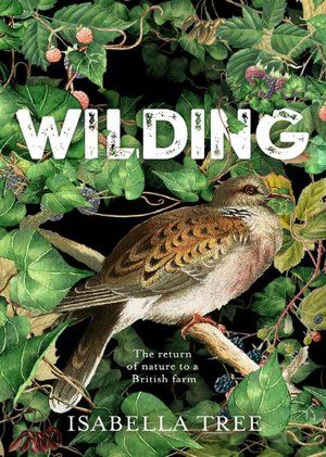 Book cover of Wilding by Isabella Tree