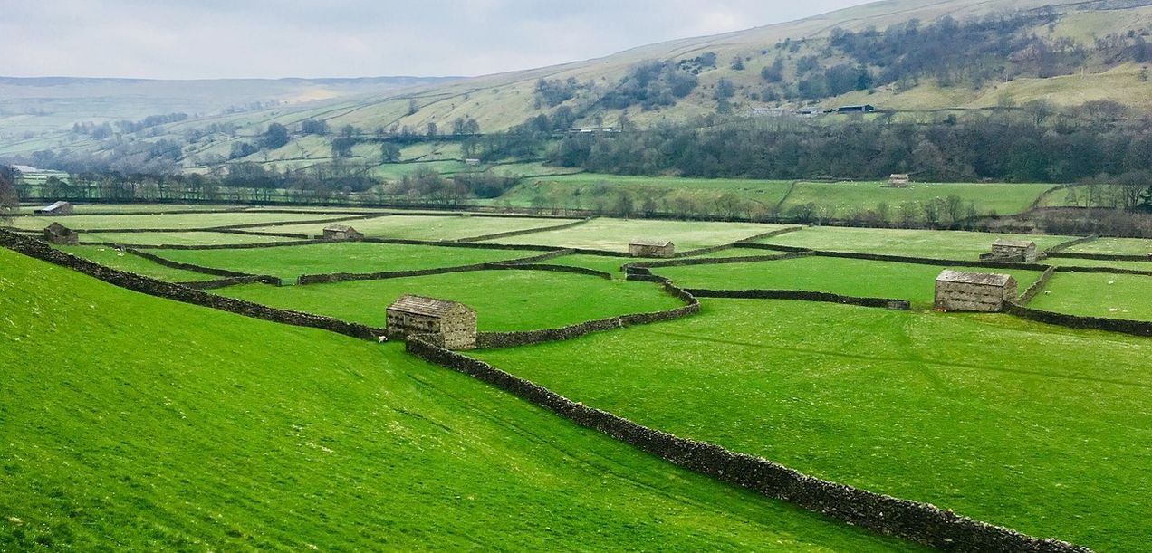 Image of green fields