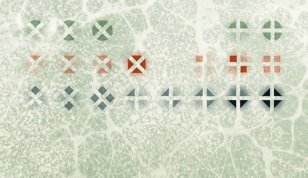 Image of the report cover 