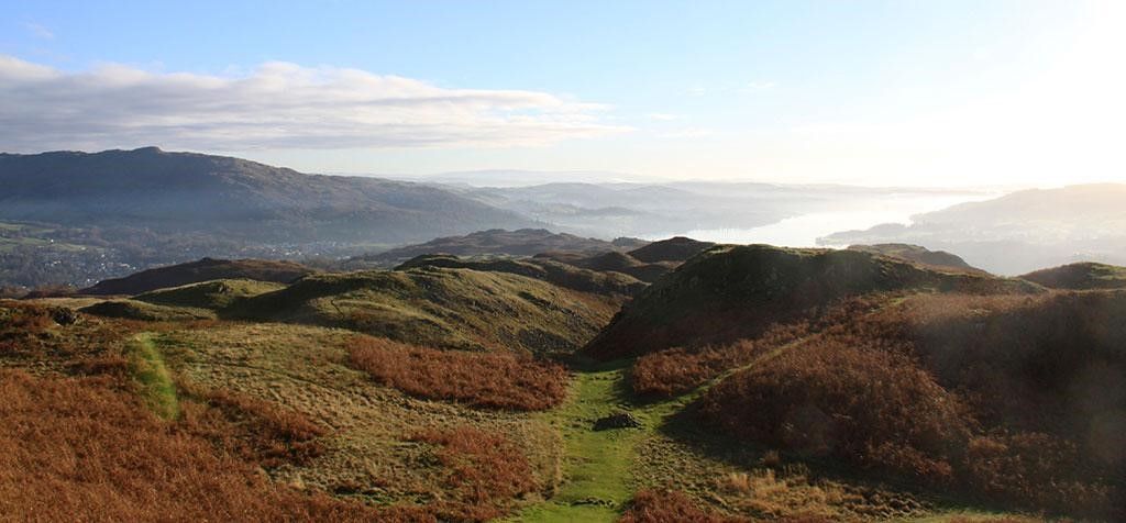 One Hell of a Plant that Could Help Save the Planet