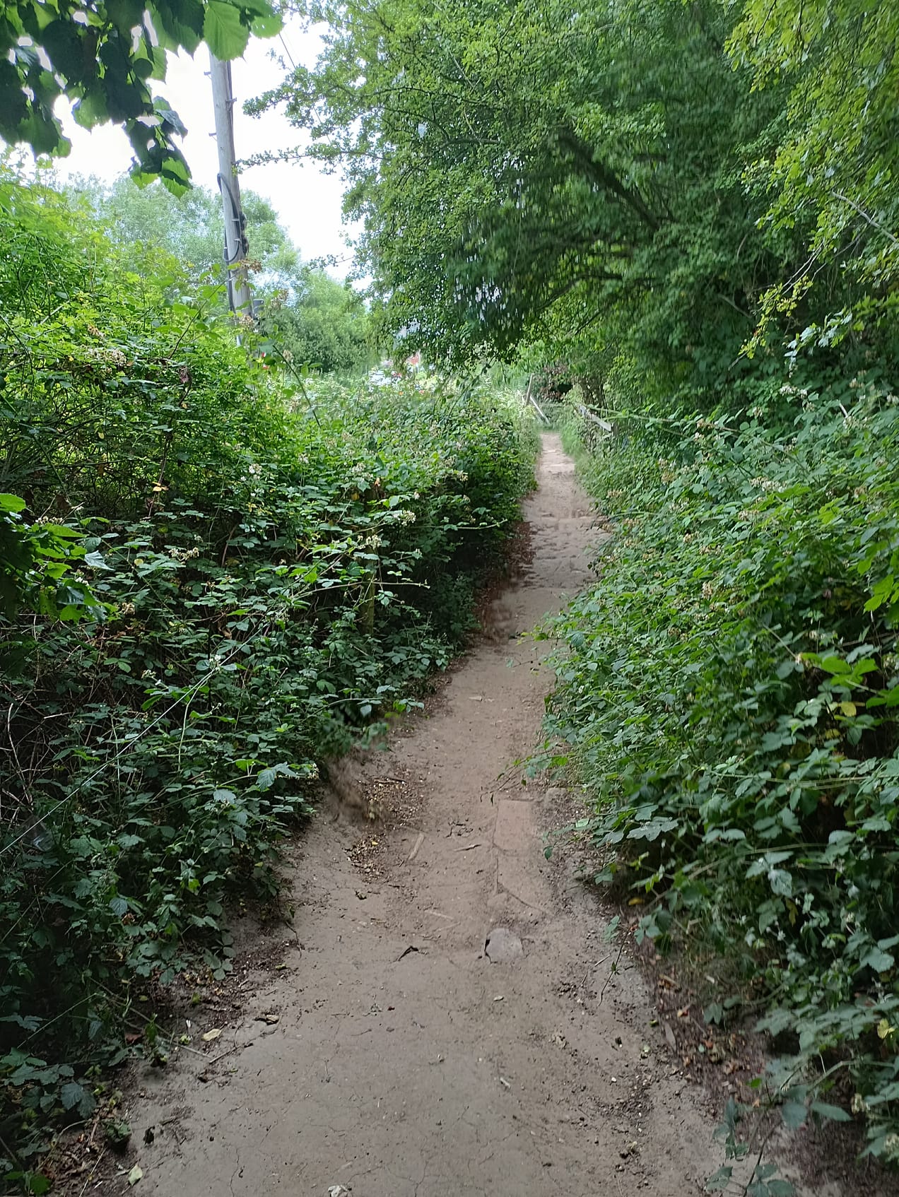 Towards a Theory of Change to guide a New Politics and Economics