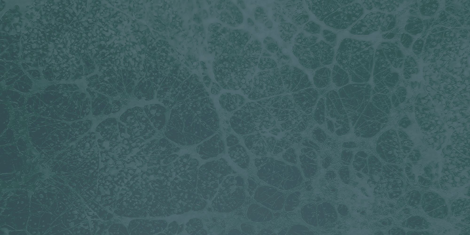 Textured Teal background image